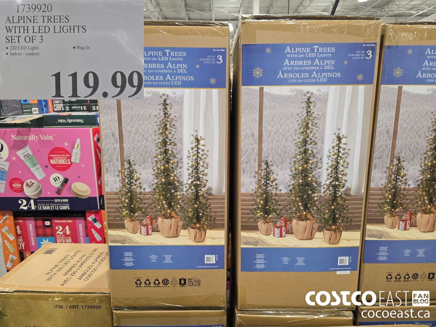 1739920 ALPINE TREES WITH LED LIGHTS SET OF 3 $119.99