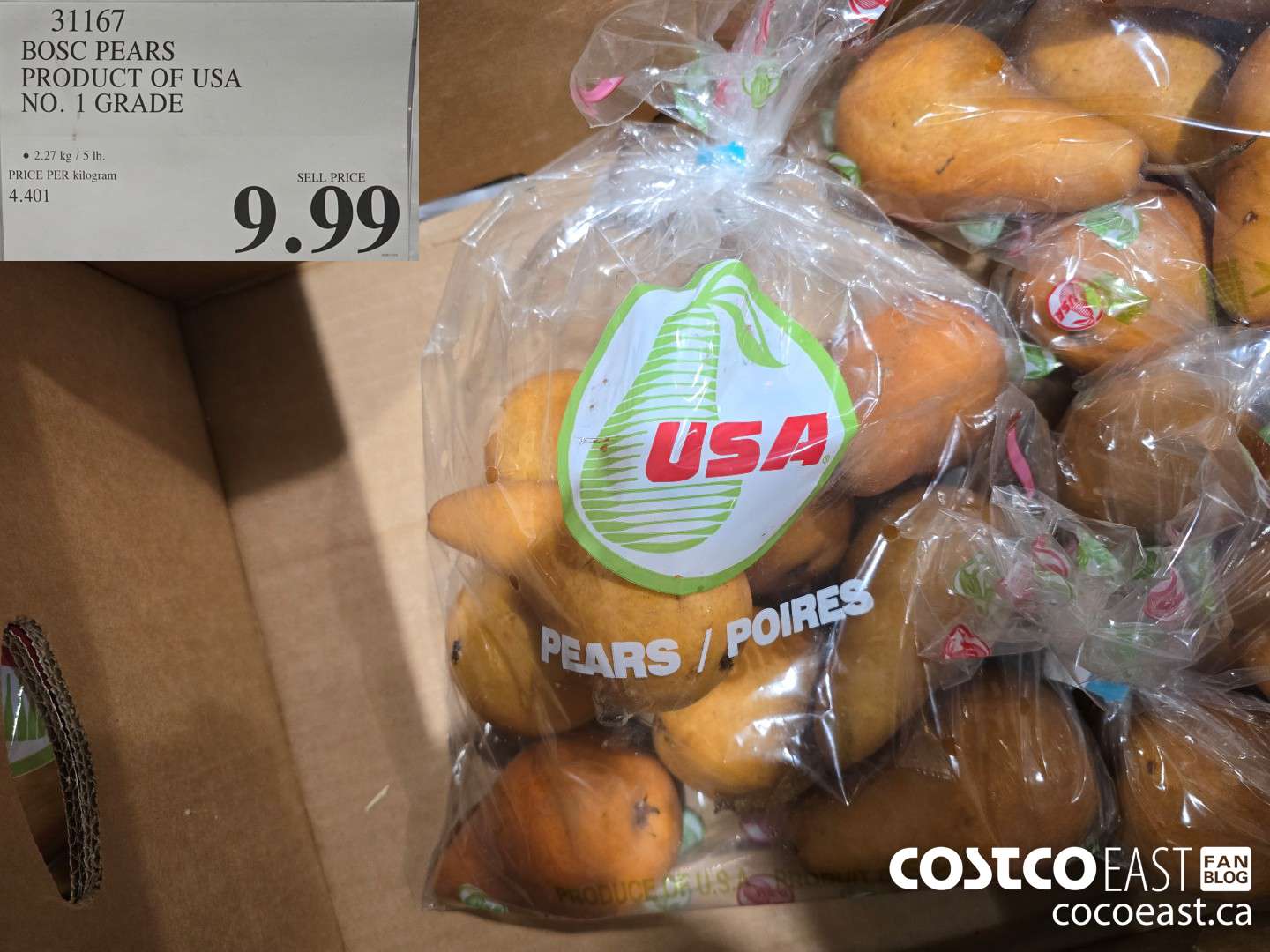 31167 BOSC PEARS PRODUCT OF USA NO. 1 GRADE $9.99