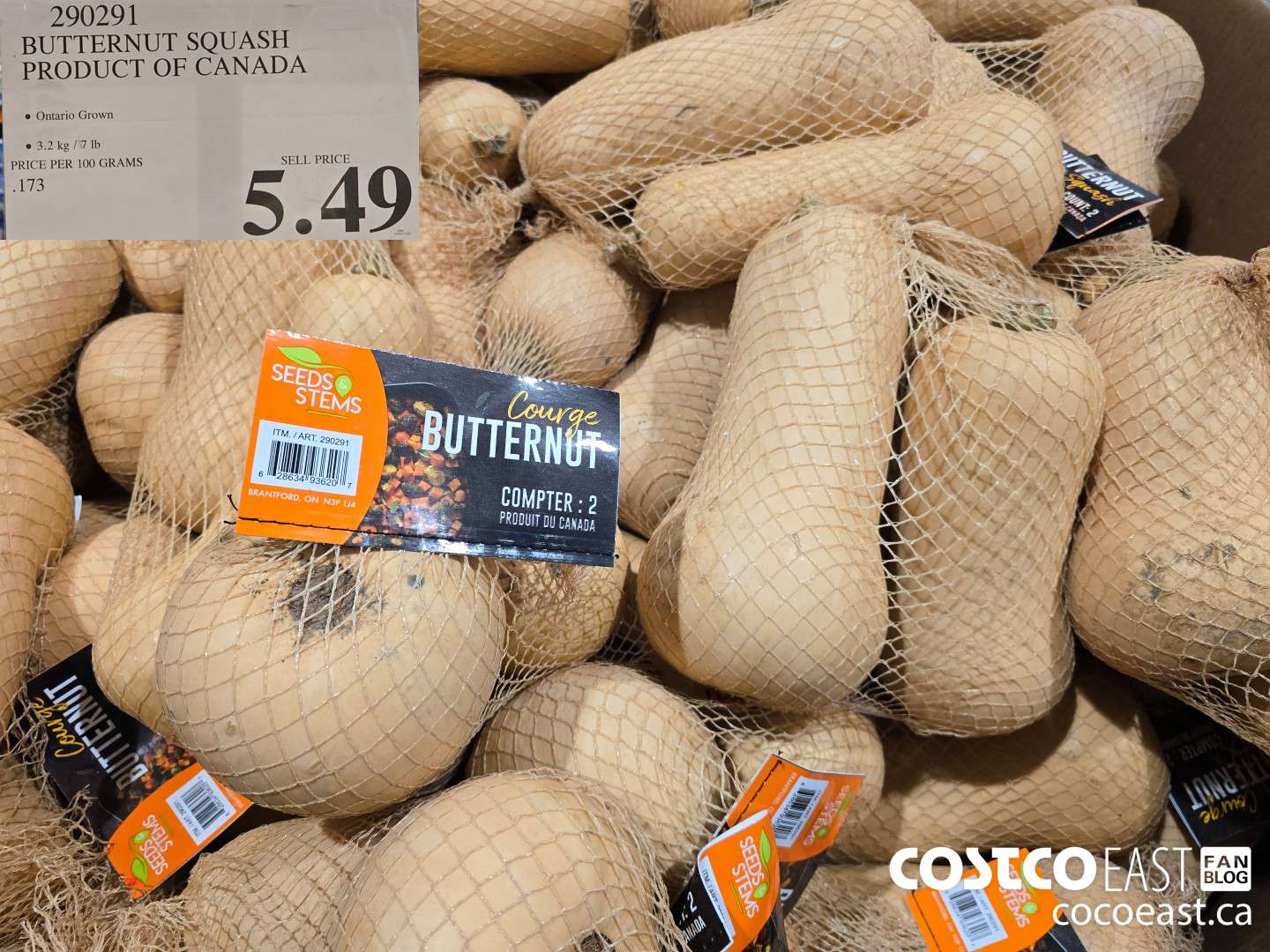 290291 BUTTERNUT SQUASH PRODUCT OF CANADA $5.49