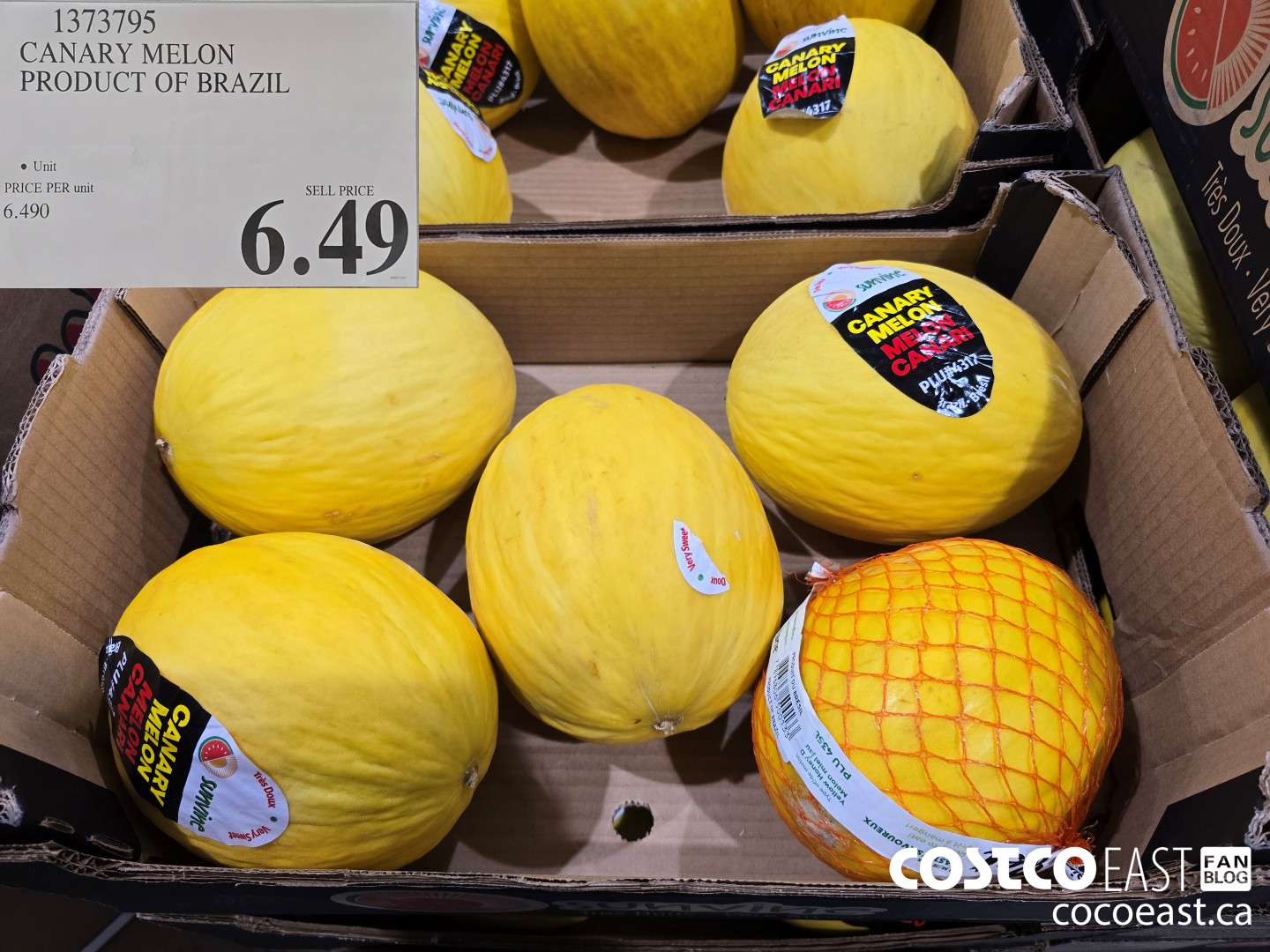 1373795 CANARY MELON PRODUCT OF BRAZIL $6.49