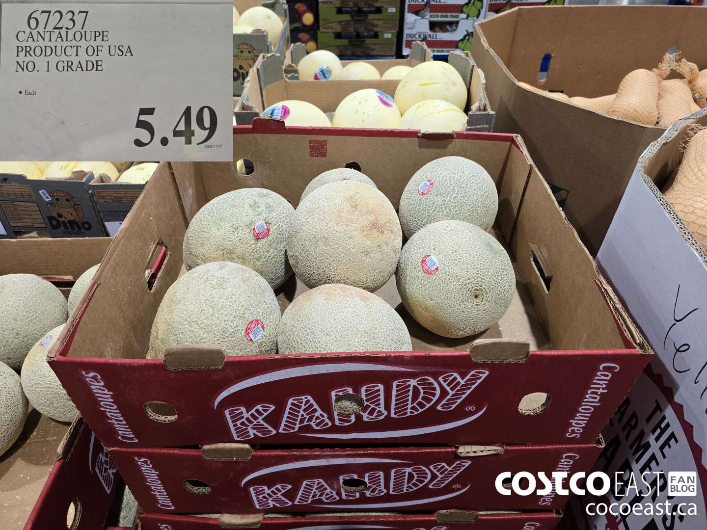 67237 CANTALOUPE PRODUCT OF USA NO. 1 GRADE $5.49