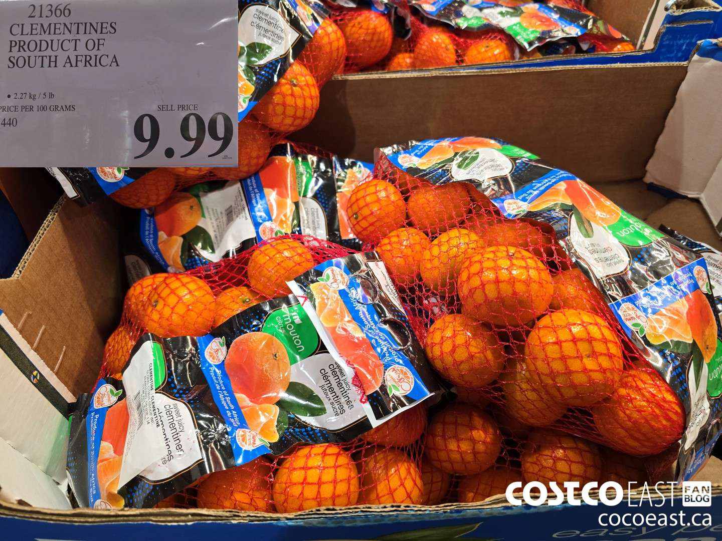 21366 CLEMENTINES PRODUCT OF SOUTH AFRICA $9.99