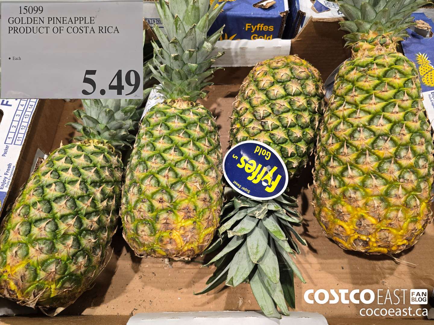 15099 GOLDEN PINEAPPLE PRODUCT OF COSTA RICA $5.49