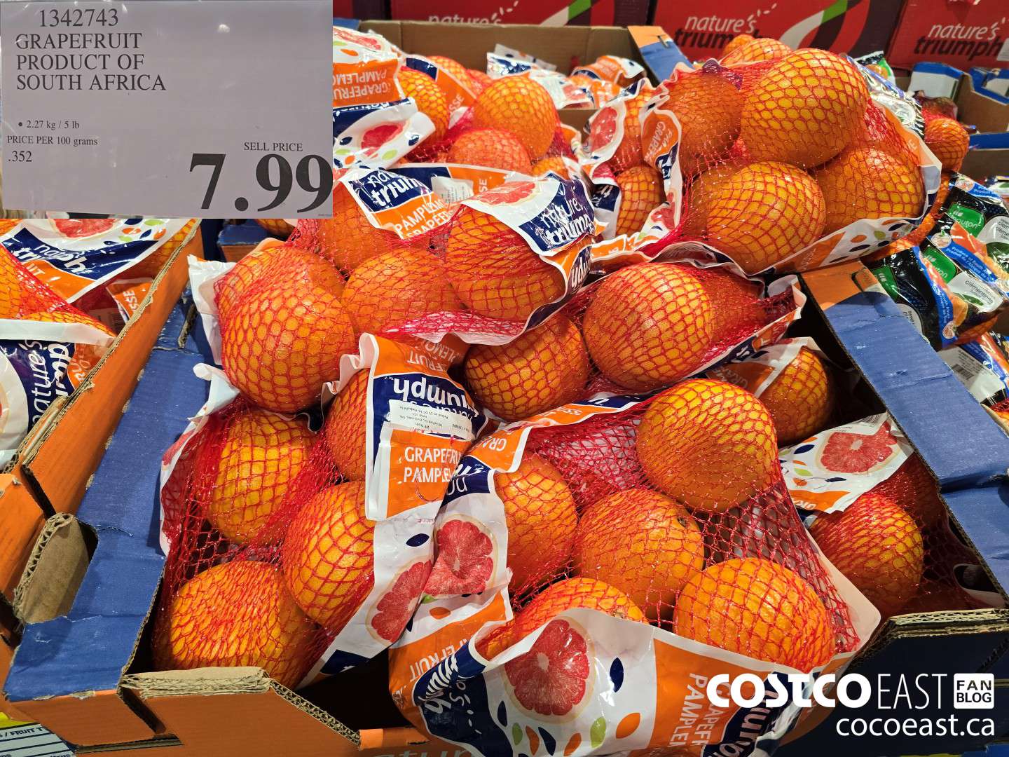 1342743 GRAPEFRUIT PRODUCT OF SOUTH AFRICA $7.99