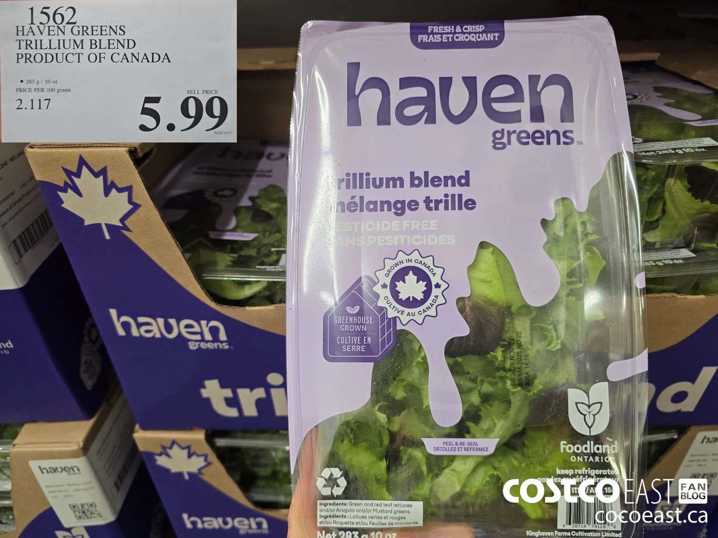 1562 HAVEN GREENS TRILLIUM BLEND PRODUCT OF CANADA $5.99