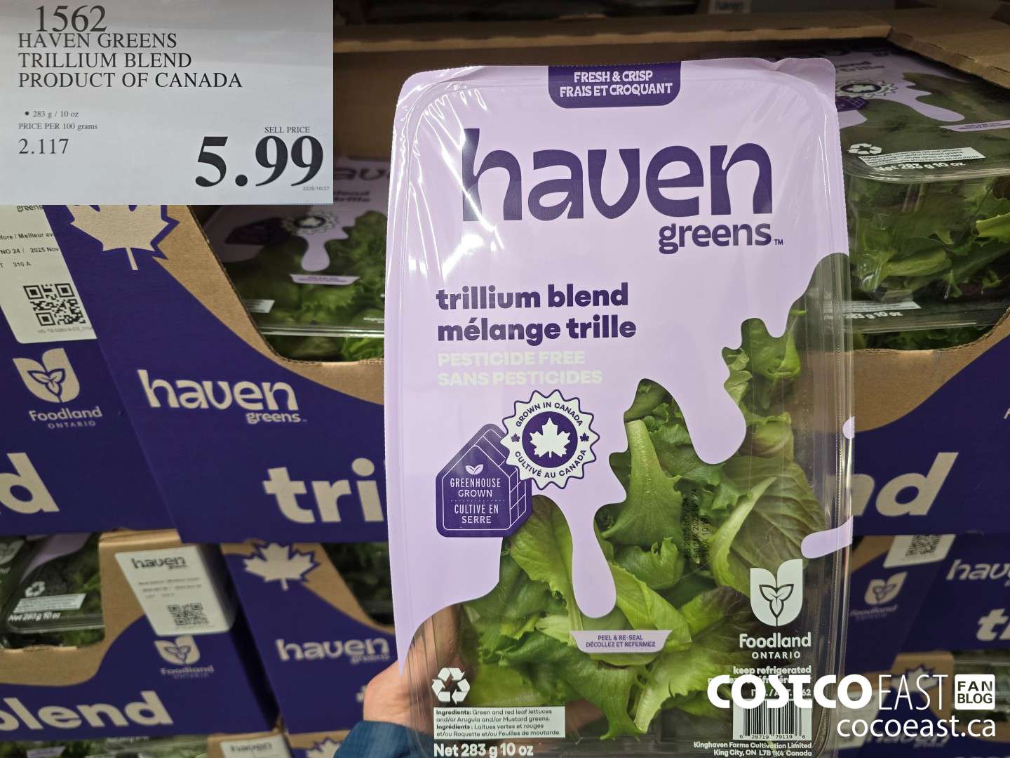 1562 HAVEN GREENS TRILLIUM BLEND PRODUCT OF CANADA $5.99