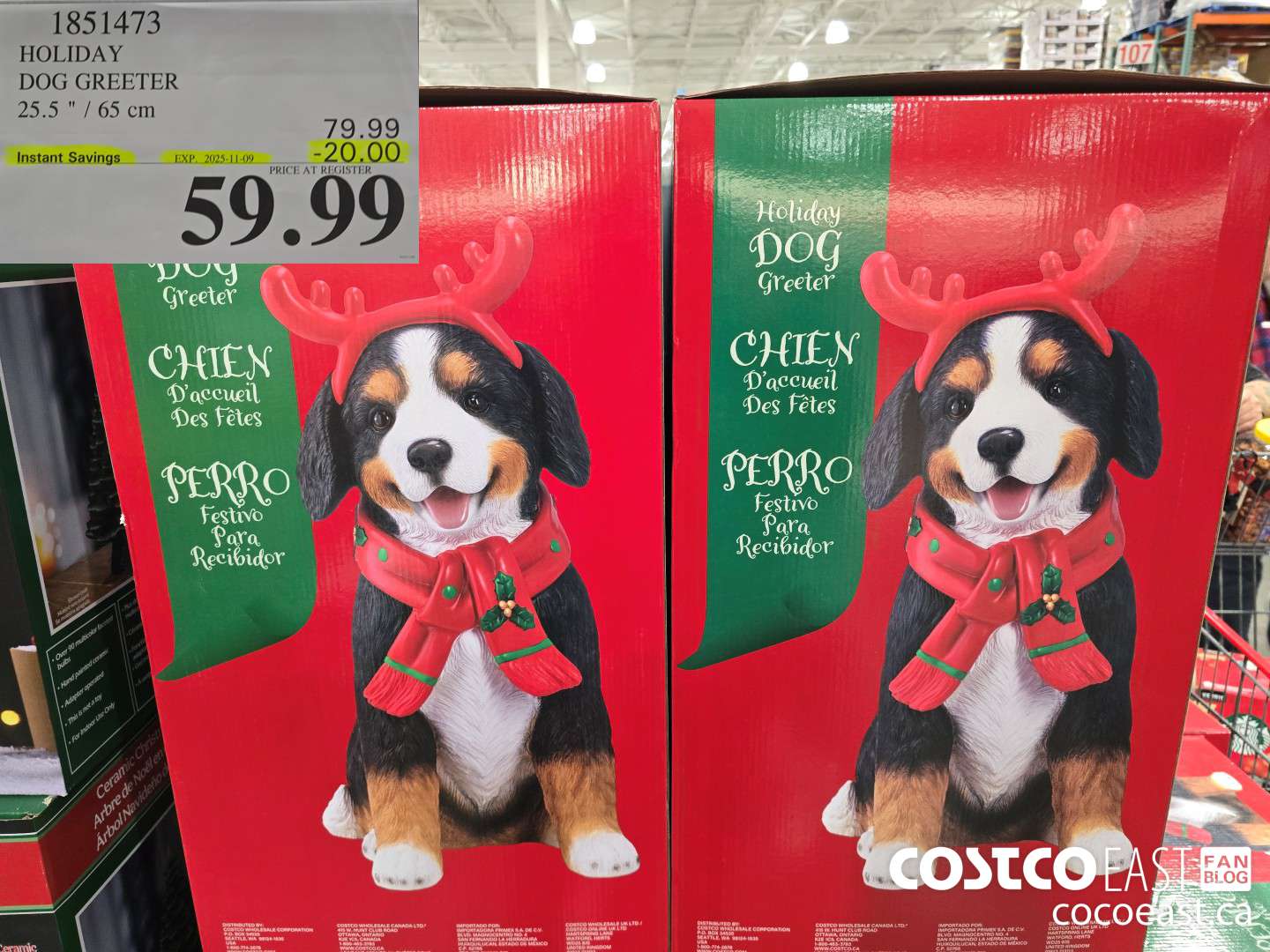 1851473 HOLIDAY DOG GREETER 25.5