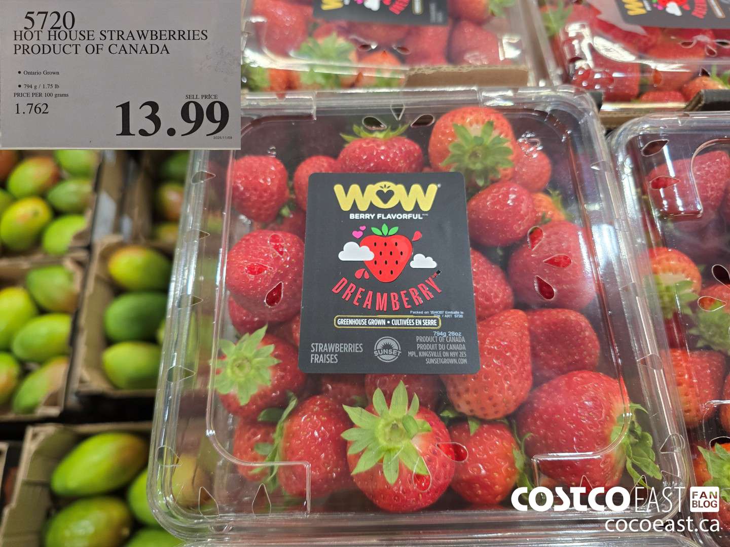 5720 HOT HOUSE STRAWBERRIES PRODUCT OF CANADA $13.99