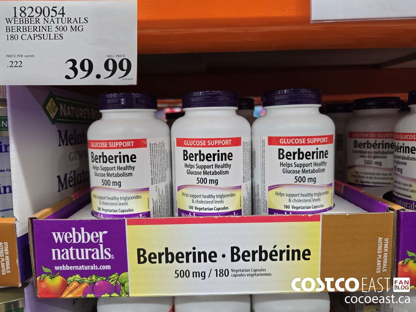 1829054 WEBBER NATURALS BERBERINE 500 MG 180 CAPSULES $39.99