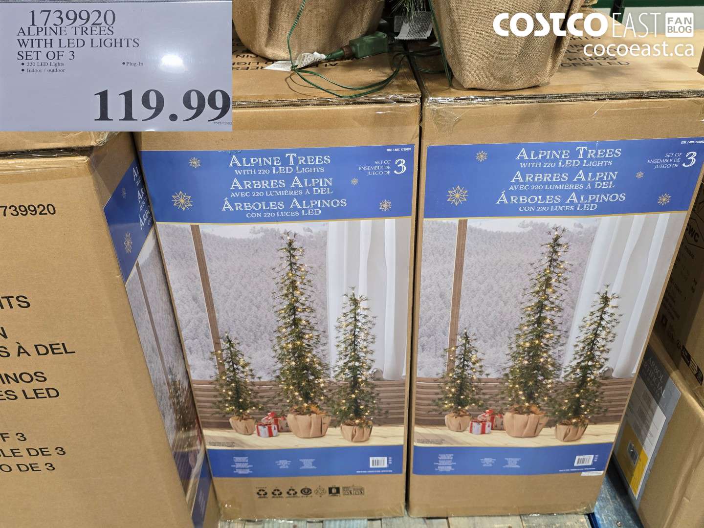 1739920 ALPINE TREES WITH LED LIGHTS SET OF 3 $119.99
