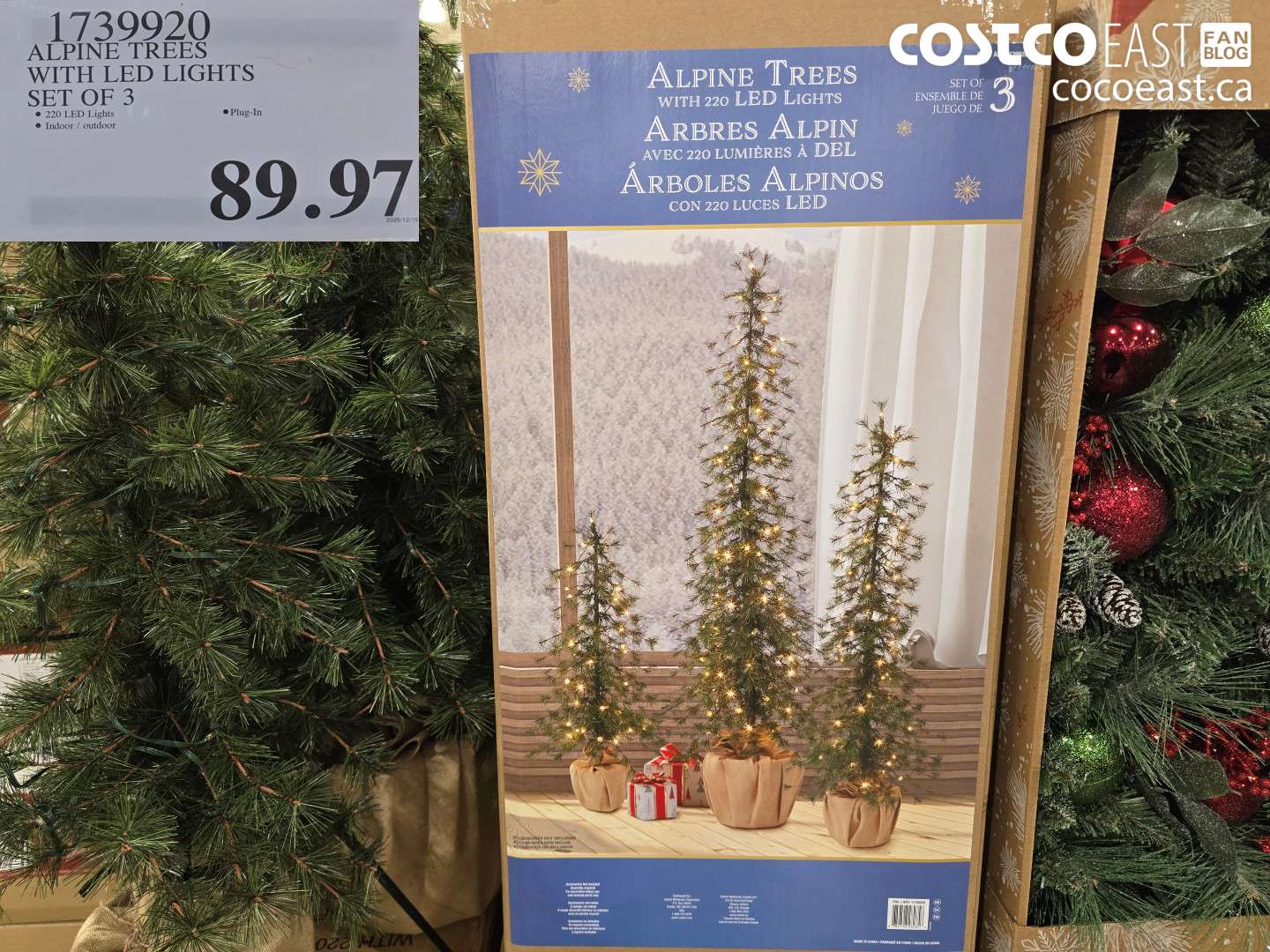 1739920 ALPINE TREES WITH LED LIGHTS SET OF 3 $89.97