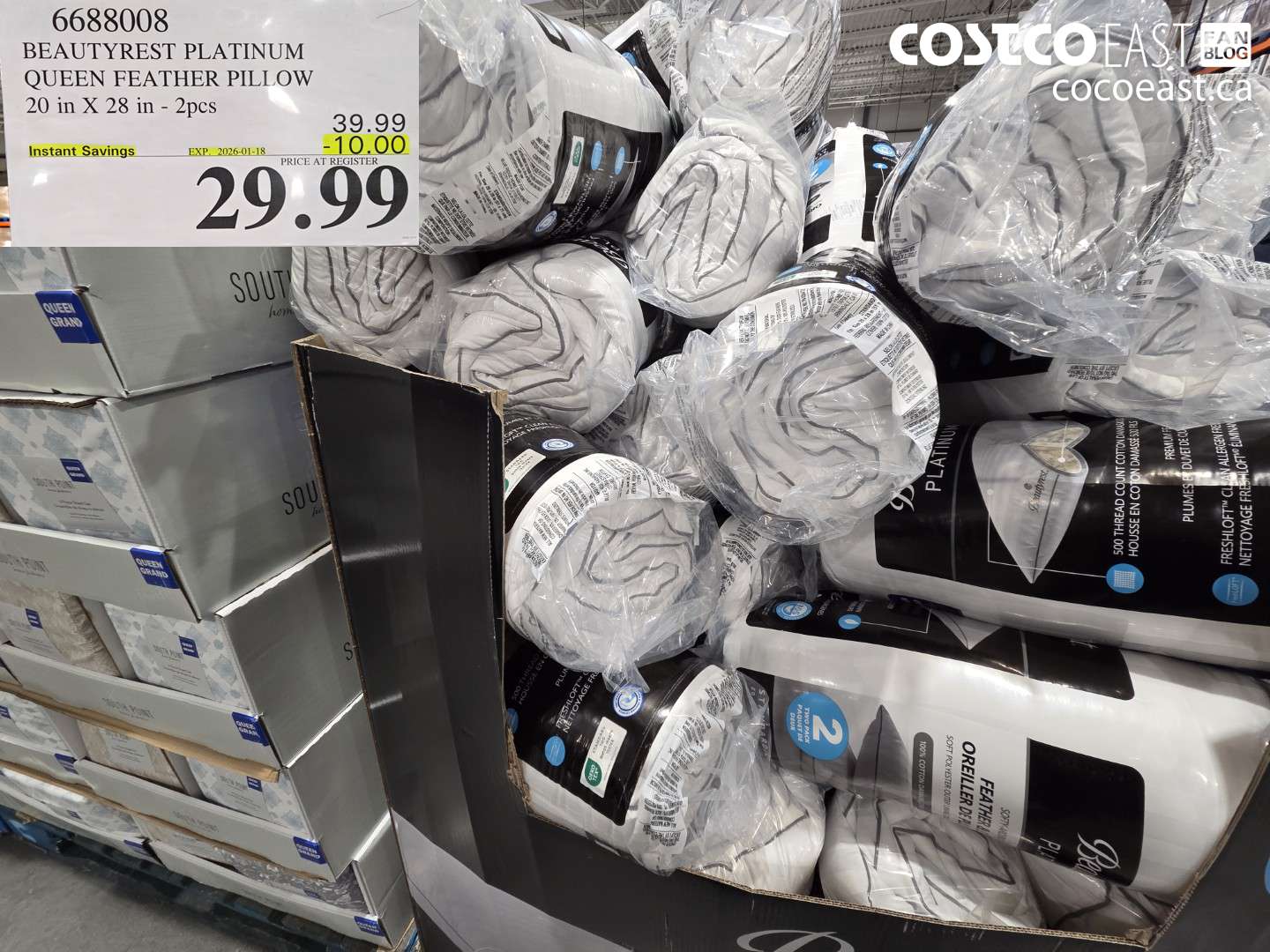 6688008 BEAUTYREST PLATINUM QUEEN FEATHER PILLOW 20 in X 28 in - 2pcs ($10.00 INSTANT SAVINGS EXPIRES ON 2026-01-18) $29.99