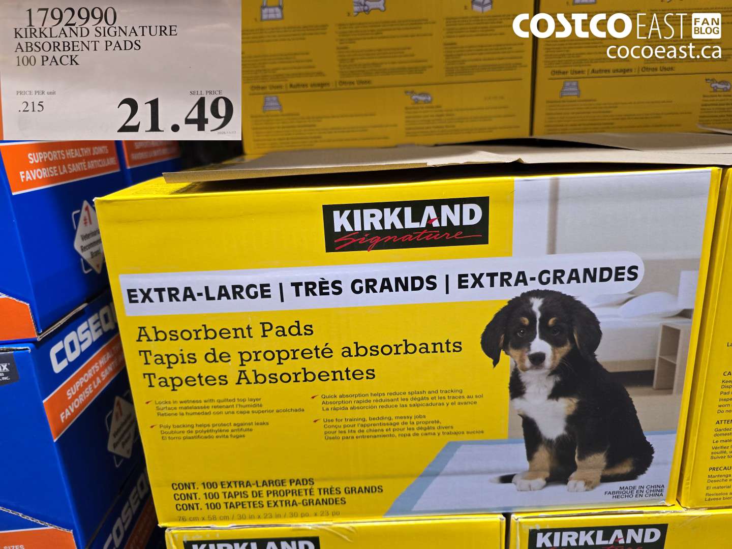 1792990 KIRKLAND SIGNATURE ABSORBENT PADS PACK OF 100 $21.49