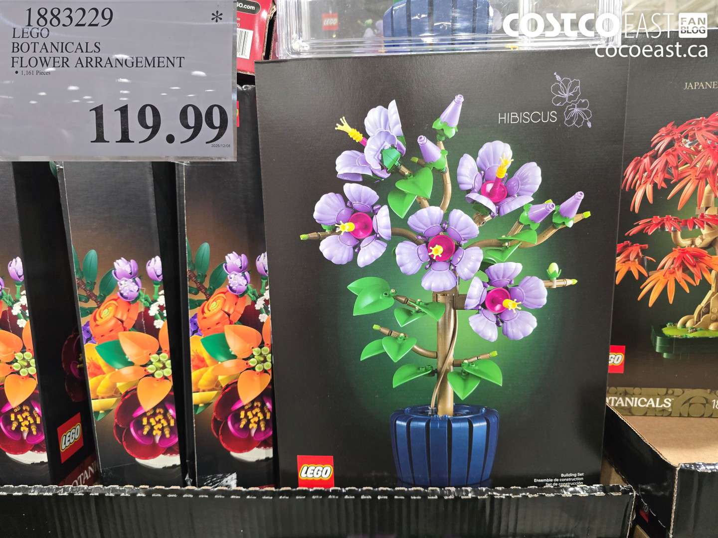 1883229 LEGO BOTANICALS FLOWER ARRANGEMENT $119.99