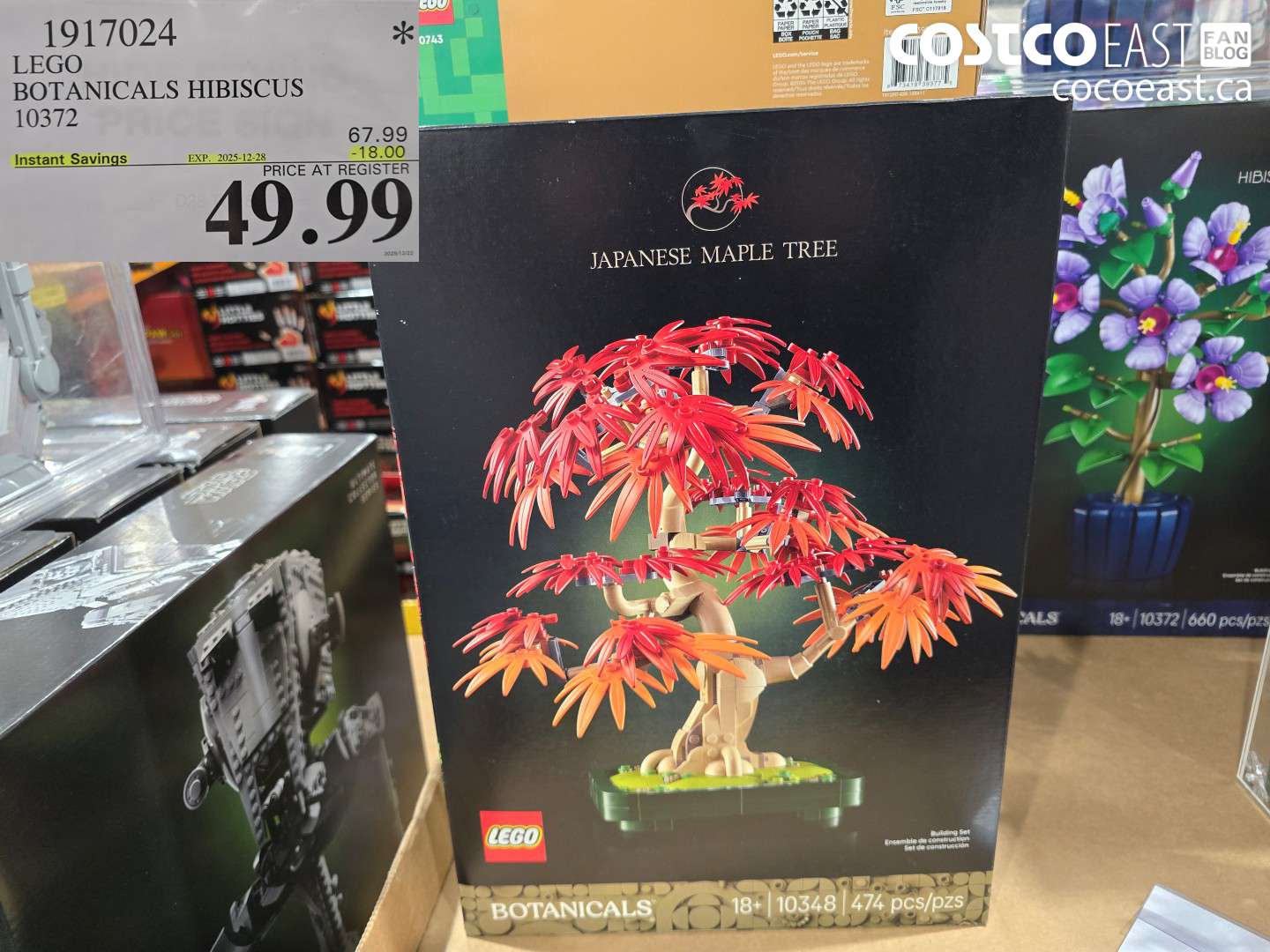 1917024 LEGO BOTANICALS HIBISCUS 10372 ($18.00 INSTANT SAVINGS EXPIRES ON 2025-12-28) $49.99
