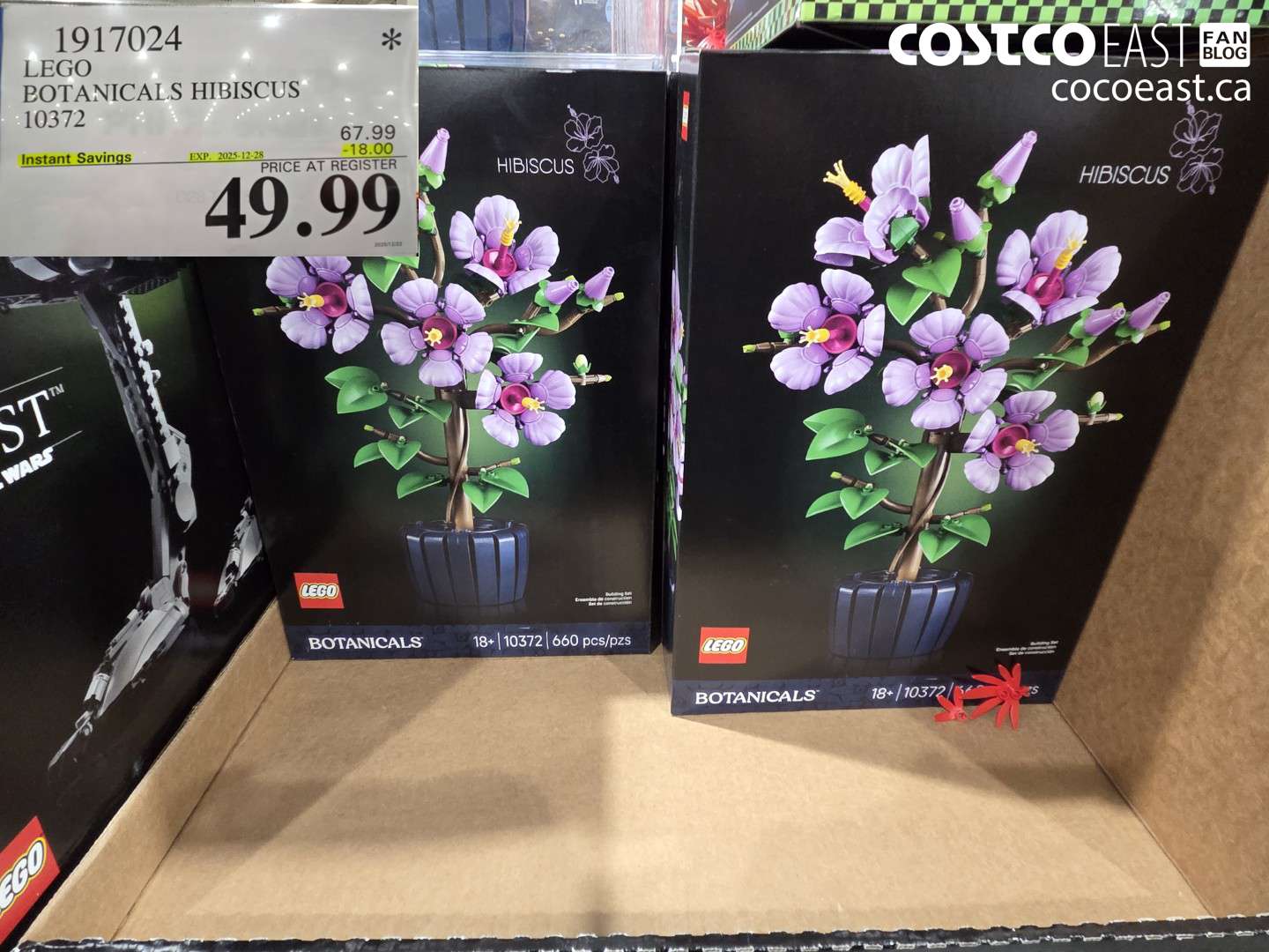 1917024 LEGO BOTANICALS HIBISCUS 10372 ($18.00 INSTANT SAVINGS EXPIRES ON 2025-12-28) $49.99