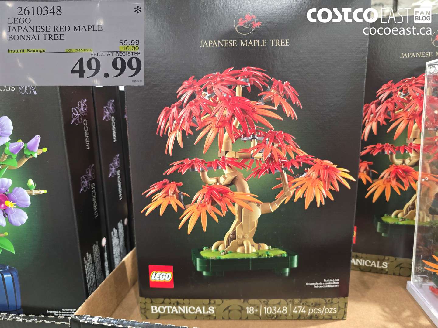 2610348 LEGO JAPANESE RED MAPLE BONSAI TREE ($10.00 INSTANT SAVINGS EXPIRES ON 2025-12-14) $49.99