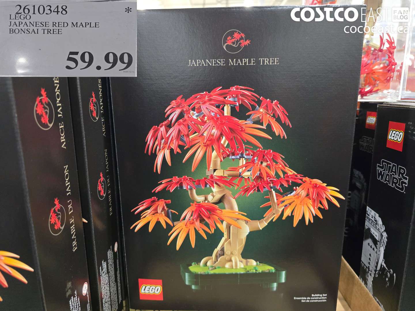 2610348 LEGO JAPANESE RED MAPLE BONSAI TREE $59.99