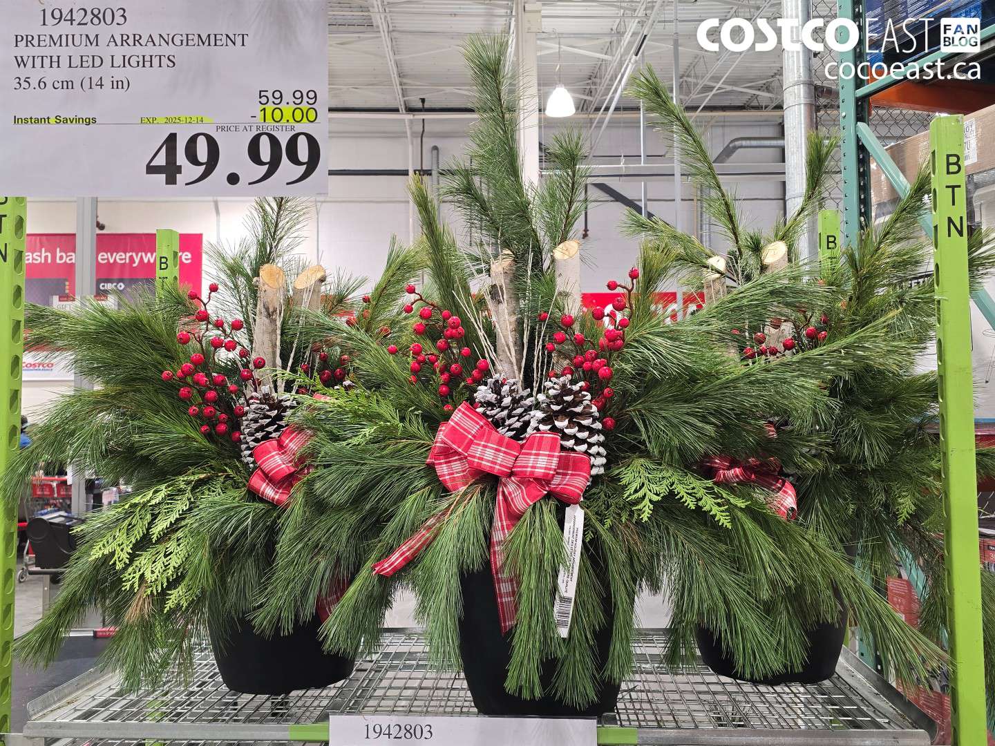 1942803 PREMIUM ARRANGEMENT WITH LED LIGHTS 35.6CM (14” IN) ($10.00 INSTANT SAVINGS EXPIRES ON 2025-12-14) $49.99