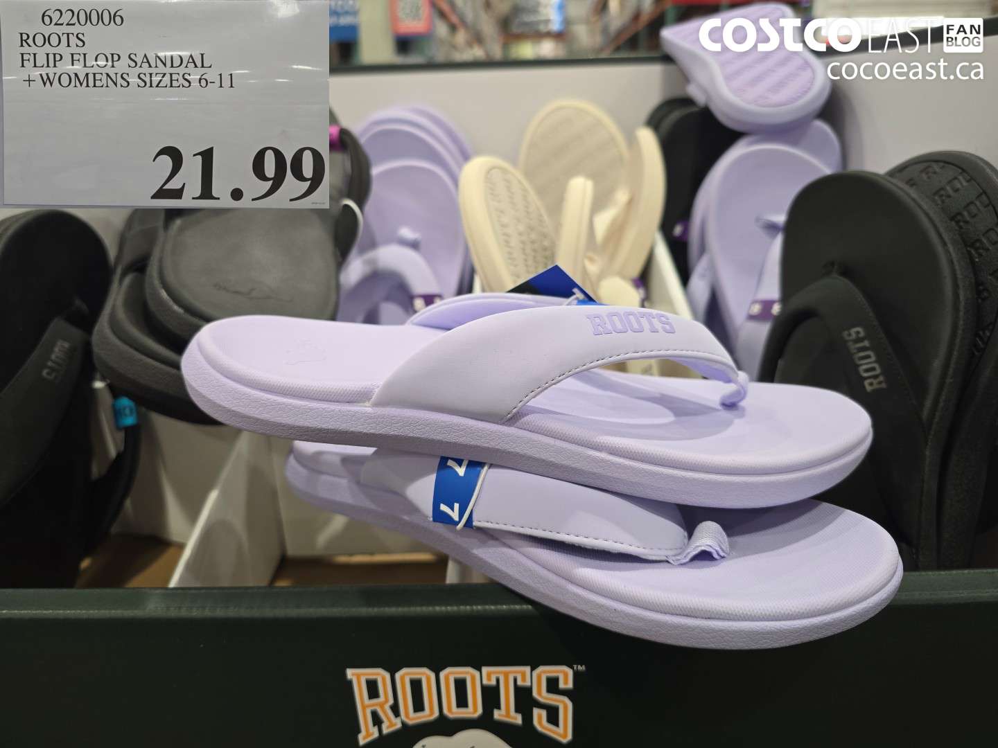 6220006 ROOTS FLIP FLOP SANDAL +WOMENS SIZES 6-11 $21.99