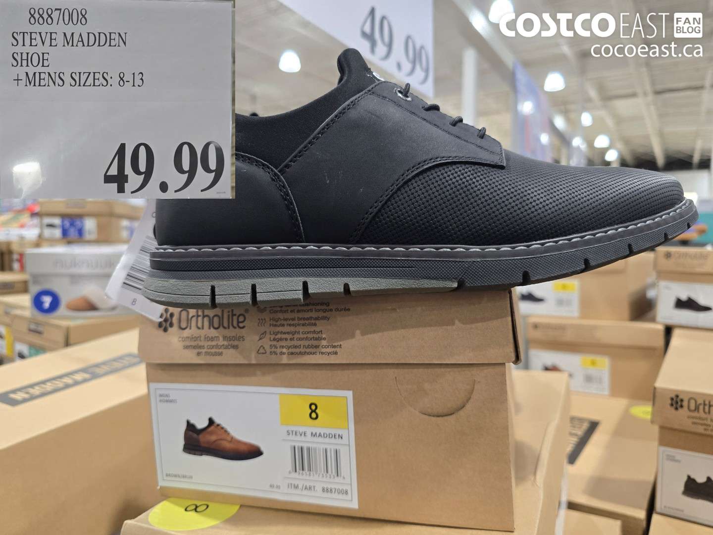 8887008 STEVE MADDEN SHOE +MENS SIZES: 8-13 $49.99