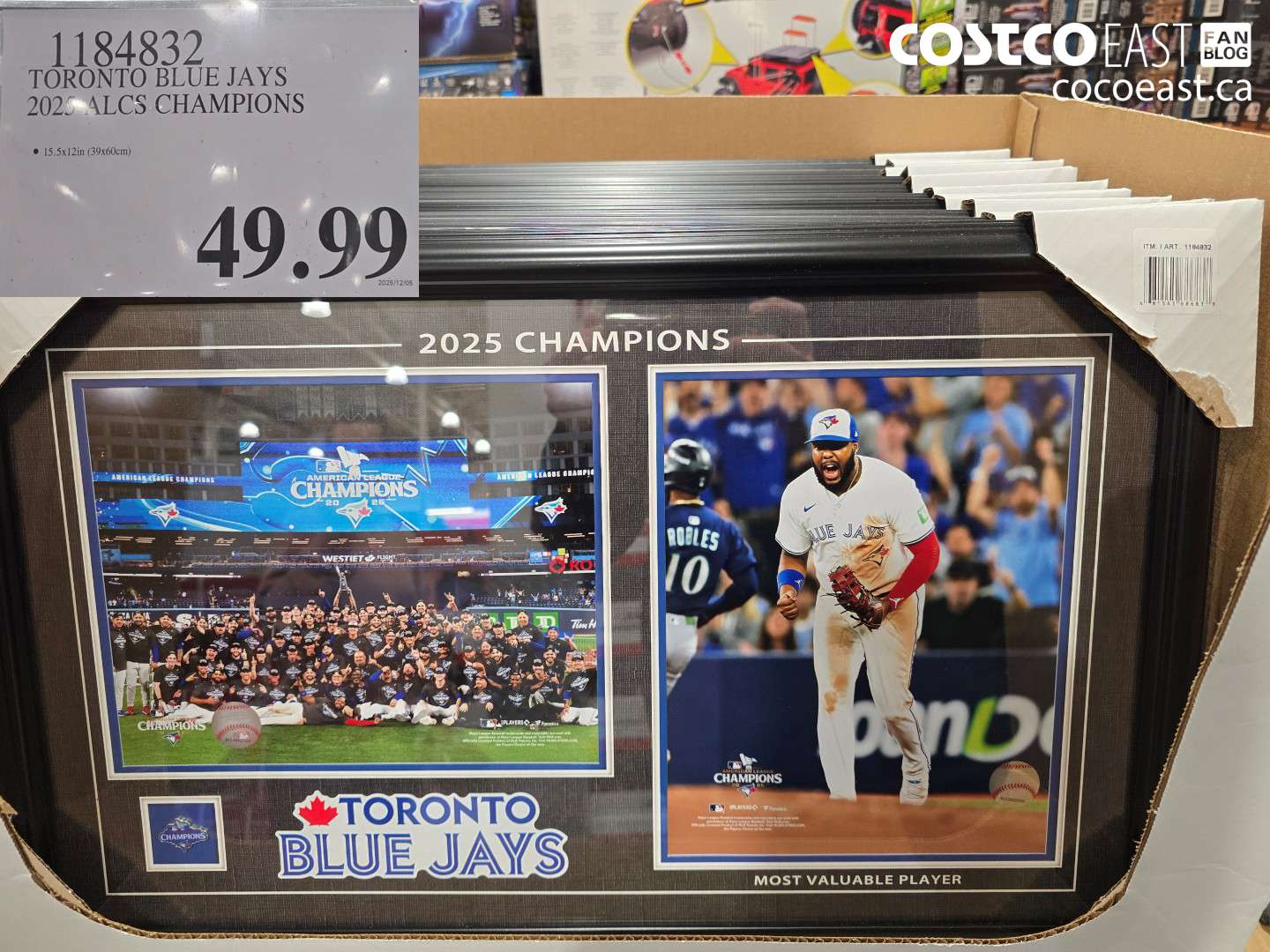 1184832 TORONTO BLUE JAYS 2025 ALCS CHAMPIONS $49.99