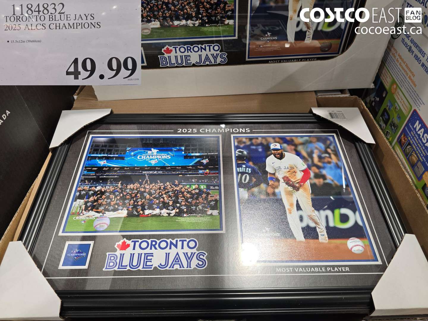 1184832 TORONTO BLUE JAYS 2025 ALCS CHAMPIONS $49.99