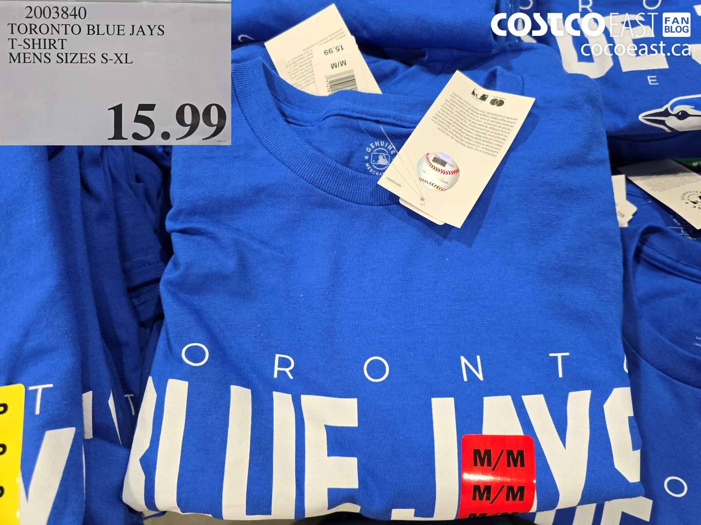2003840 TORONTO BLUE JAYS T-SHIRT MENS SIZES S-XL $15.99