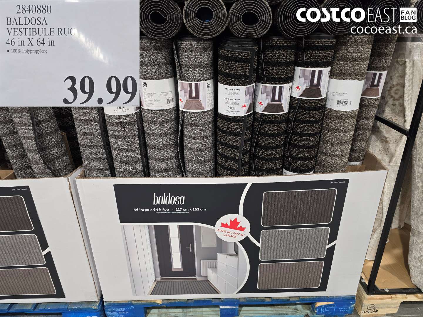 2840880 BALDOSA VESTIBULE RUG 46 in X 64 in $39.99