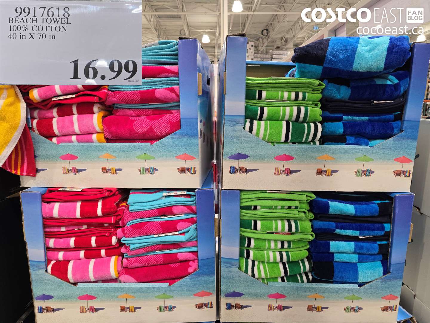 9917618 BEACH TOWEL 100% COTTON 40