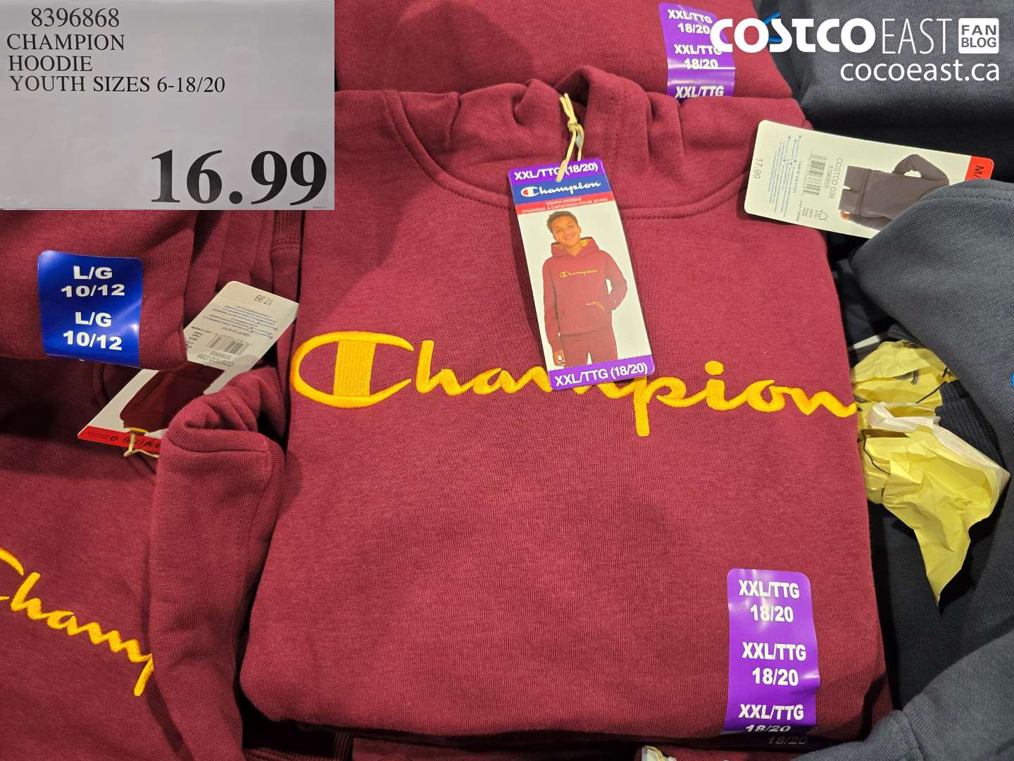 8396868 CHAMPION HOODIE YOUTH SIZES 6-18/20 $16.99