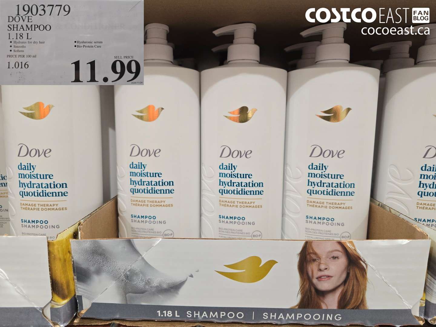 1903779 DOVE SHAMPOO 1.18 L $11.99