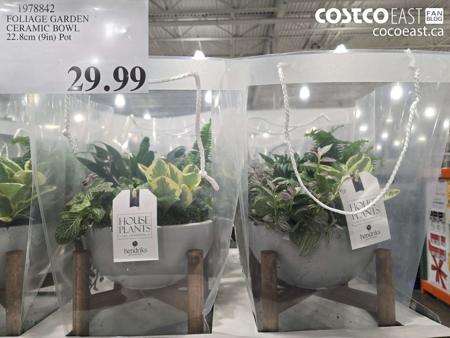 1978842 FOLIAGE GARDEN CERAMIC BOWL 22.8cm (9in) Pot $29.99