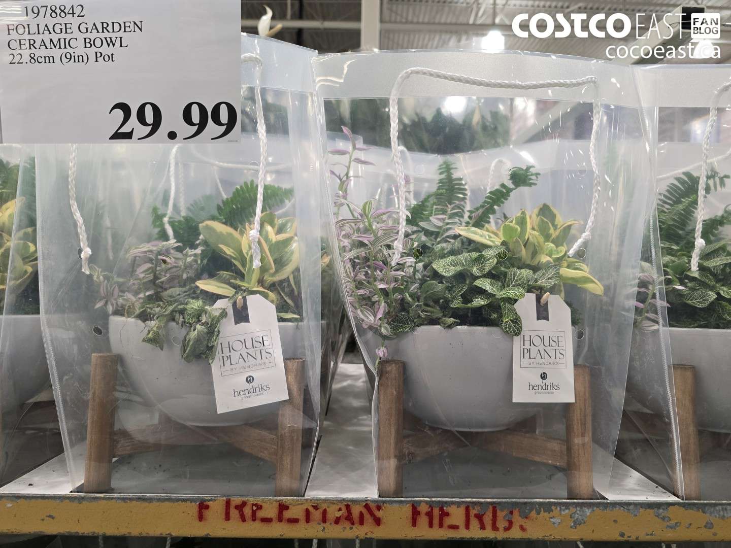 1978842 FOLIAGE GARDEN CERAMIC BOWL 22.8cm (9in) Pot $29.99