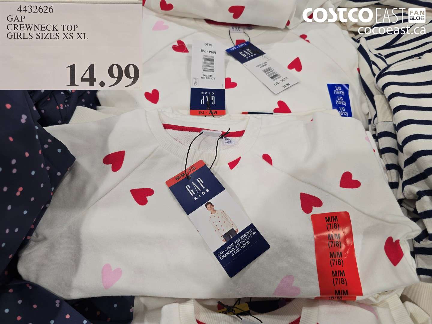 4432626 GAP CREWNECK TOP GIRLS SIZES XS-XL $14.99