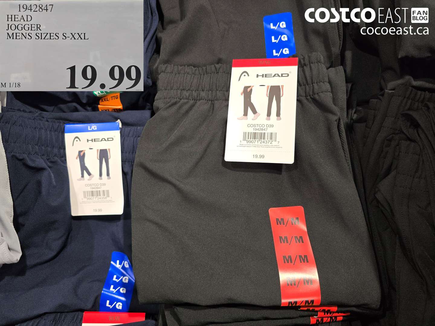 1942847 HEAD JOGGER MENS SIZES S-XXL $19.99