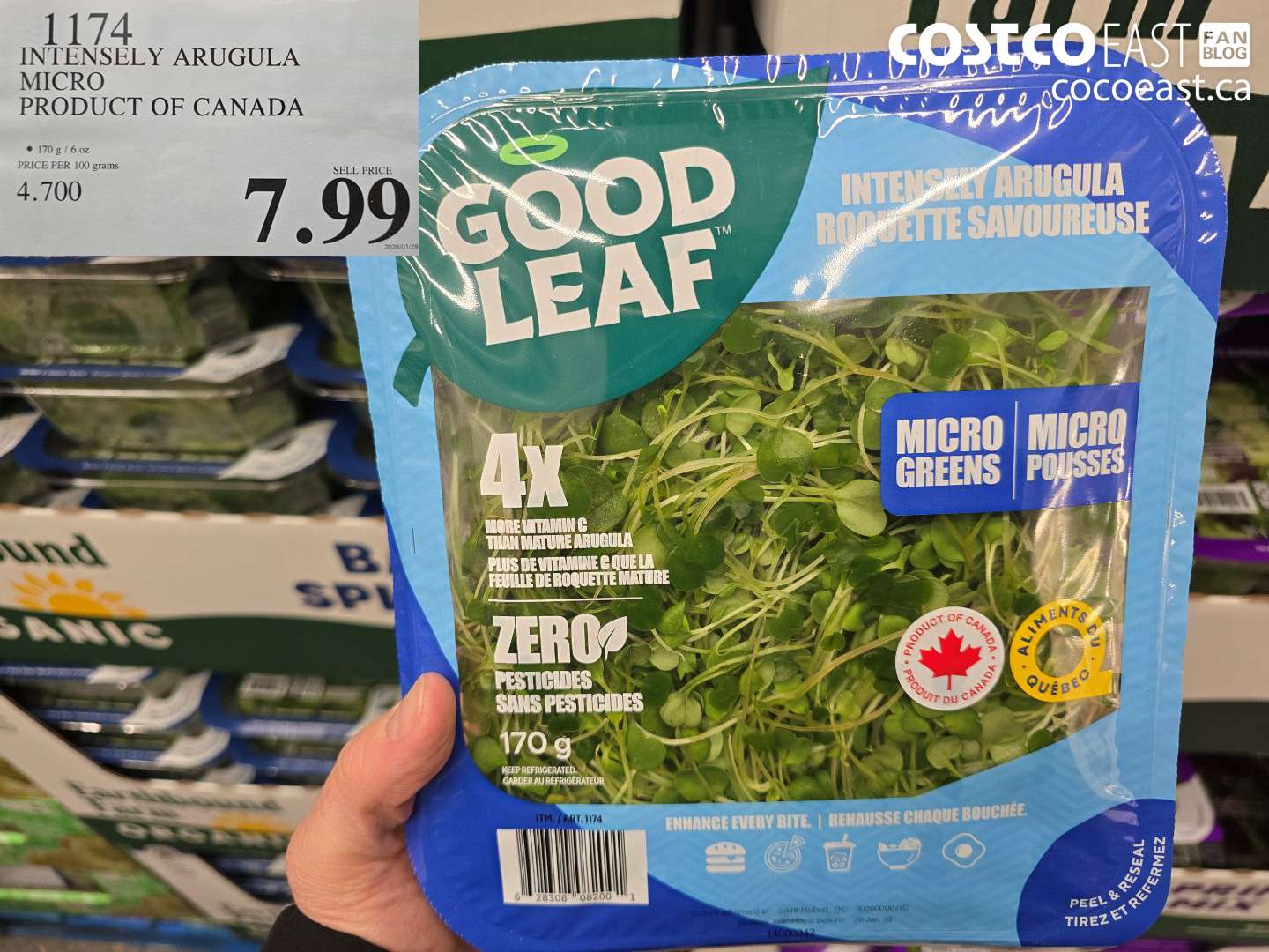 1174 INTENSELY ARUGULA MICRO PRODUCT OF CANADA $7.99