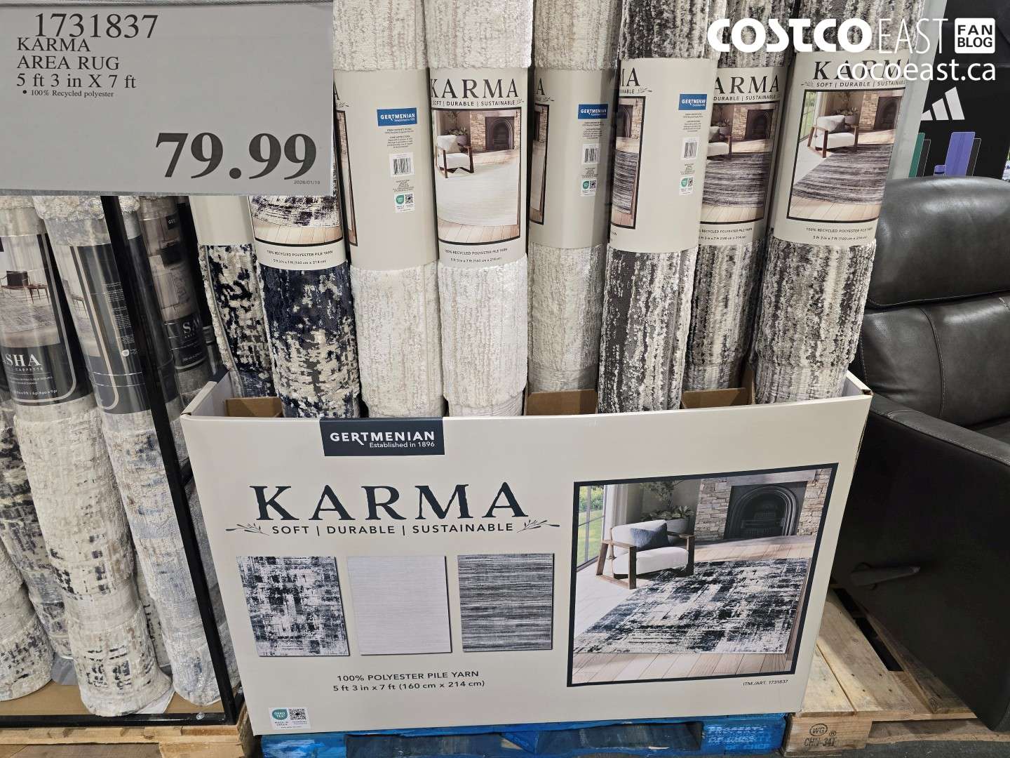 1731837 KARMA AREA RUG 5 FT 3 IN X 7 FT $79.99