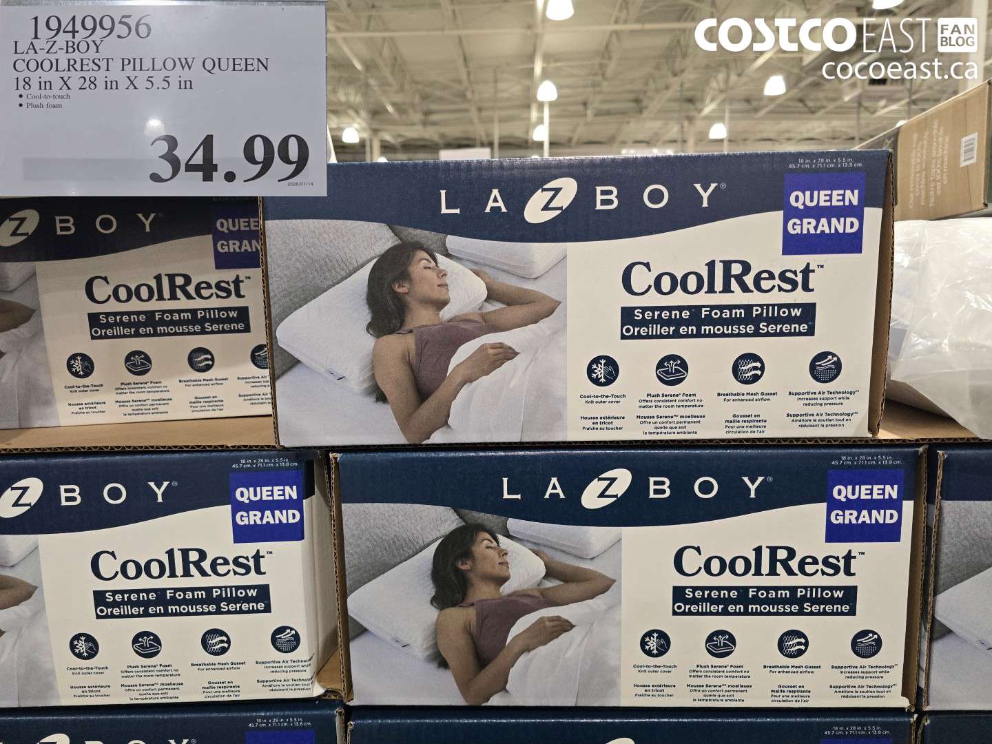 1949956 LA-Z-BOY COOLREST PILLOW QUEEN 18 in X 28 in X 5.5 in $34.99