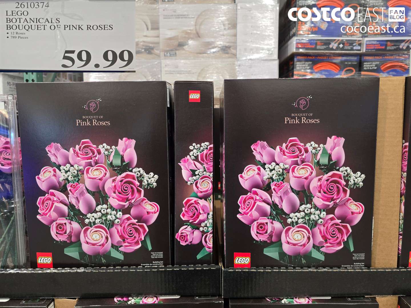 2610374 LEGO BOTANICALS BOUQUET OF PINK ROSES $59.99