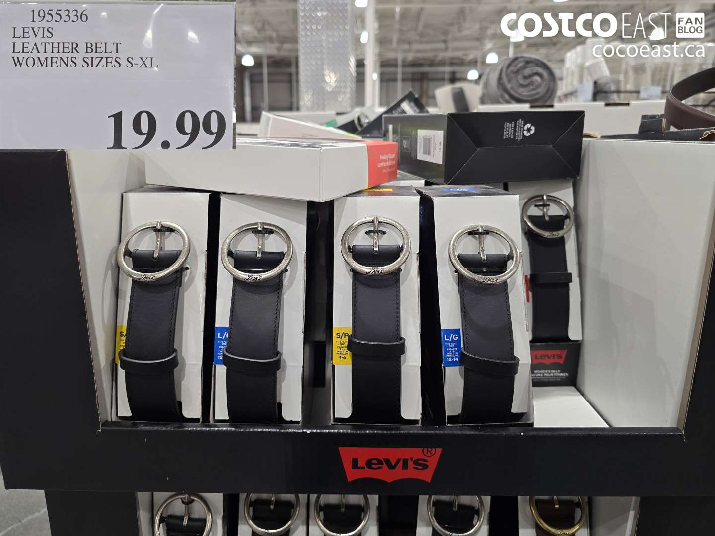 1955336 LEVIS LEATHER BELT WOMENS SIZES S-XL $19.99