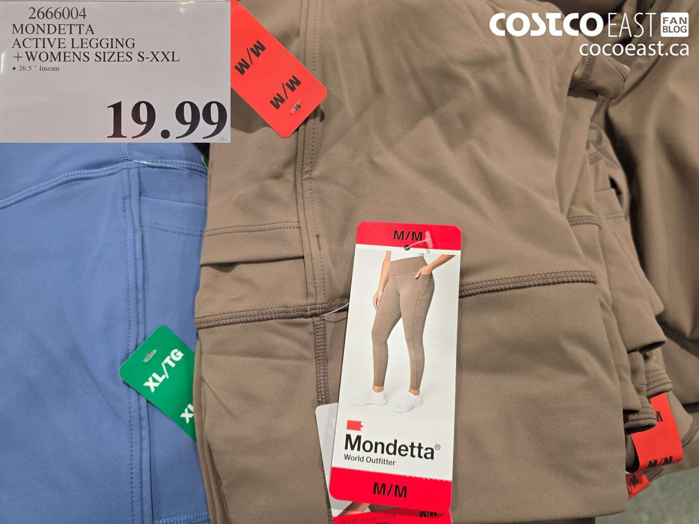 2666004 MONDETTA ACTIVE LEGGING +WOMENS SIZES S-XXL $19.99