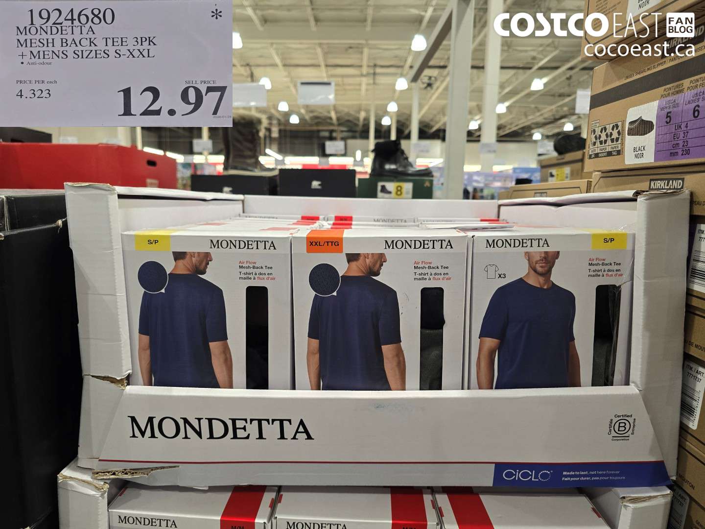 1924680 MONDETTA MESH BACK TEE 3PK +MENS SIZES S-XXL $12.97