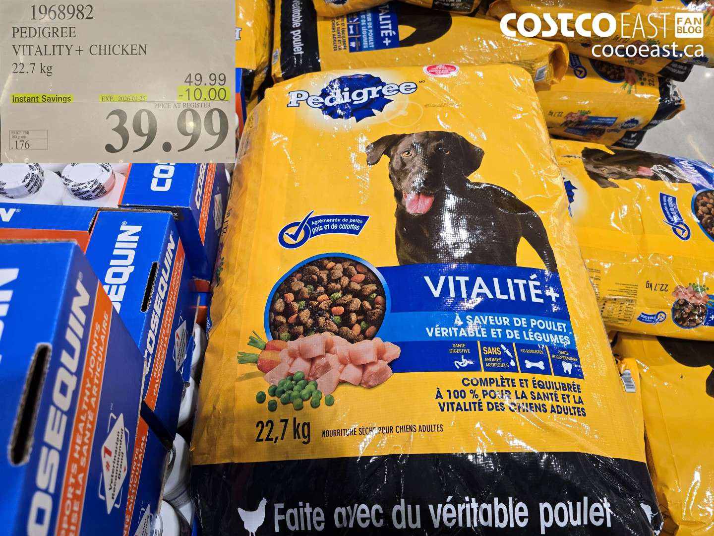 1968982 PEDIGREE VITALITY + CHICKEN 22.7 kg ($10.00 INSTANT SAVINGS EXPIRES ON 2026-01-25) $39.99