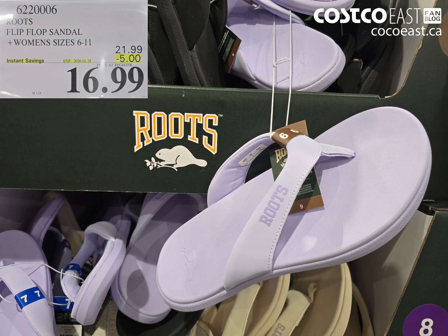 6220006 ROOTS FLIP FLOP SANDAL +WOMENS SIZES 6-11 ($5.00 INSTANT SAVINGS EXPIRES ON 2026-01-18) $16.99