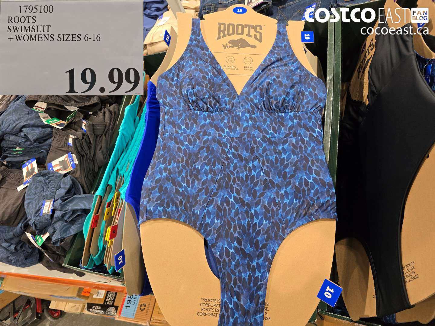 1795100 ROOTS SWIMSUIT +LADIES SIZES 6-16 $19.99