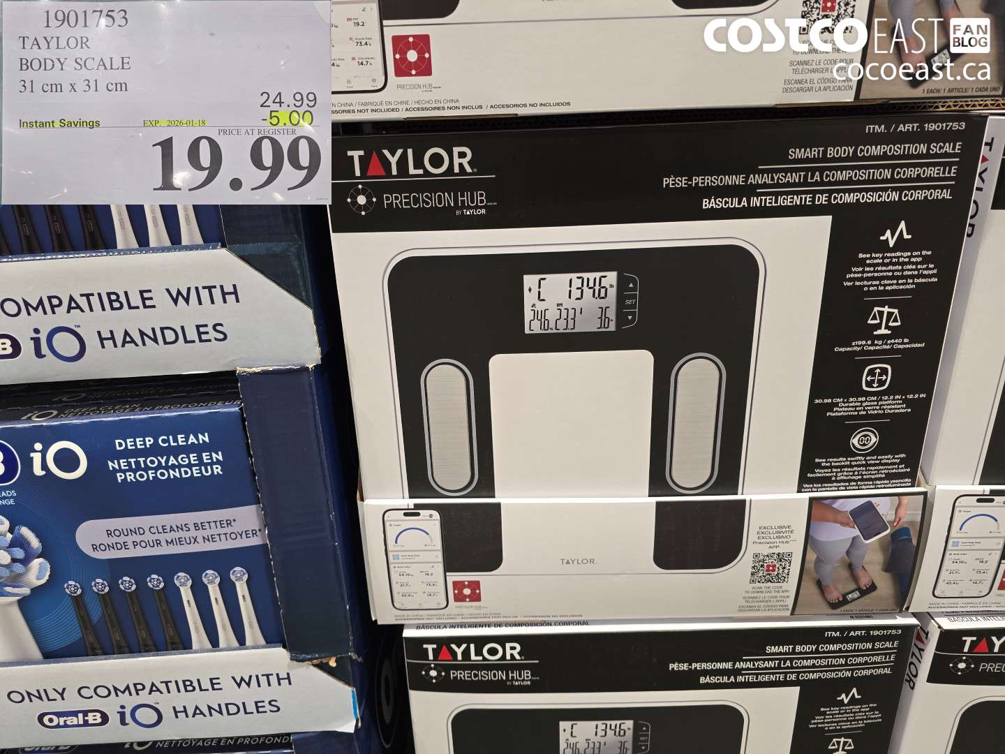 1901753 TAYLOR BODY SCALE 31 CM X 31 CM ($5.00 INSTANT SAVINGS EXPIRES ON 2026-01-18) $19.99