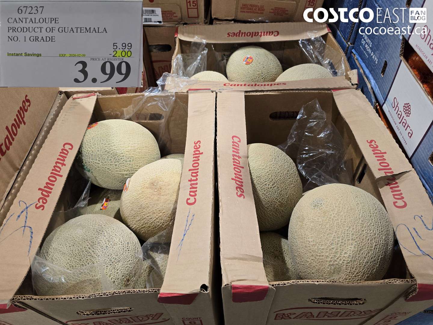 67237 CANTALOUPE PRODUCT OF GUATEMALA NO. 1 GRADE ($2.00 INSTANT SAVINGS EXPIRES ON 2026-02-09) $3.99