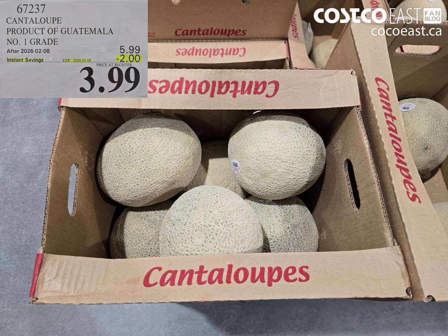 67237 CANTALOUPE PRODUCT OF USA NO. 1 GRADE ($2.00 INSTANT SAVINGS EXPIRES ON 2026-02-08) $3.99