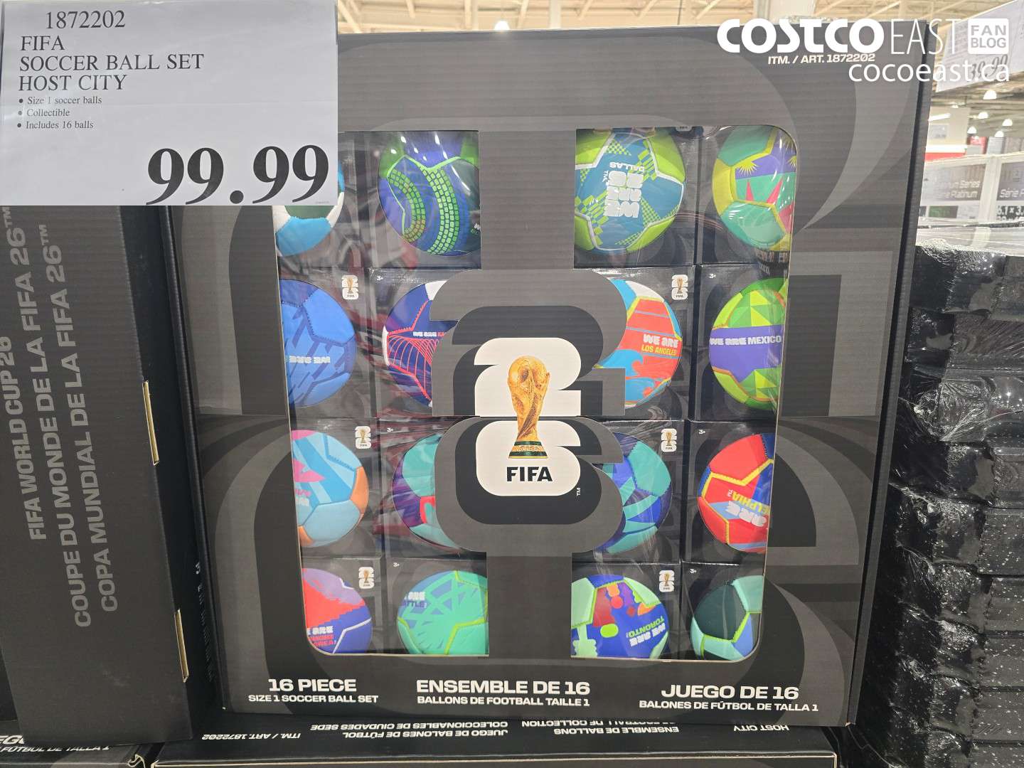 1872202 FIFA SOCCER BALL SET HOST CITY $99.99
